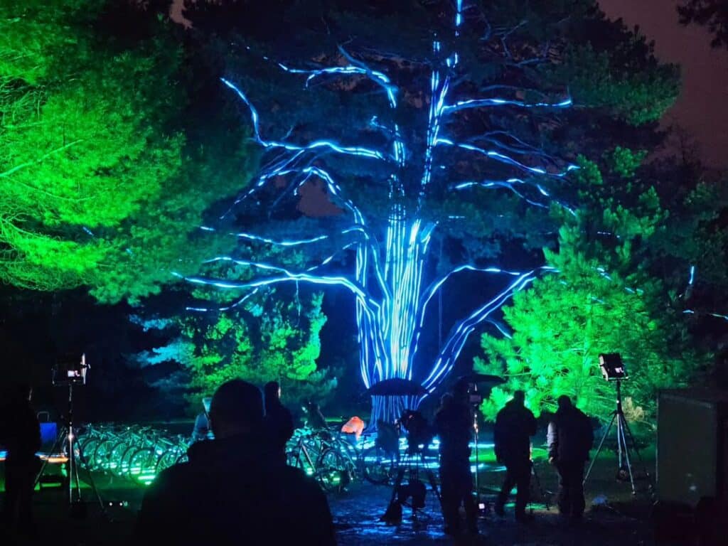 Ithaca Neon Tree